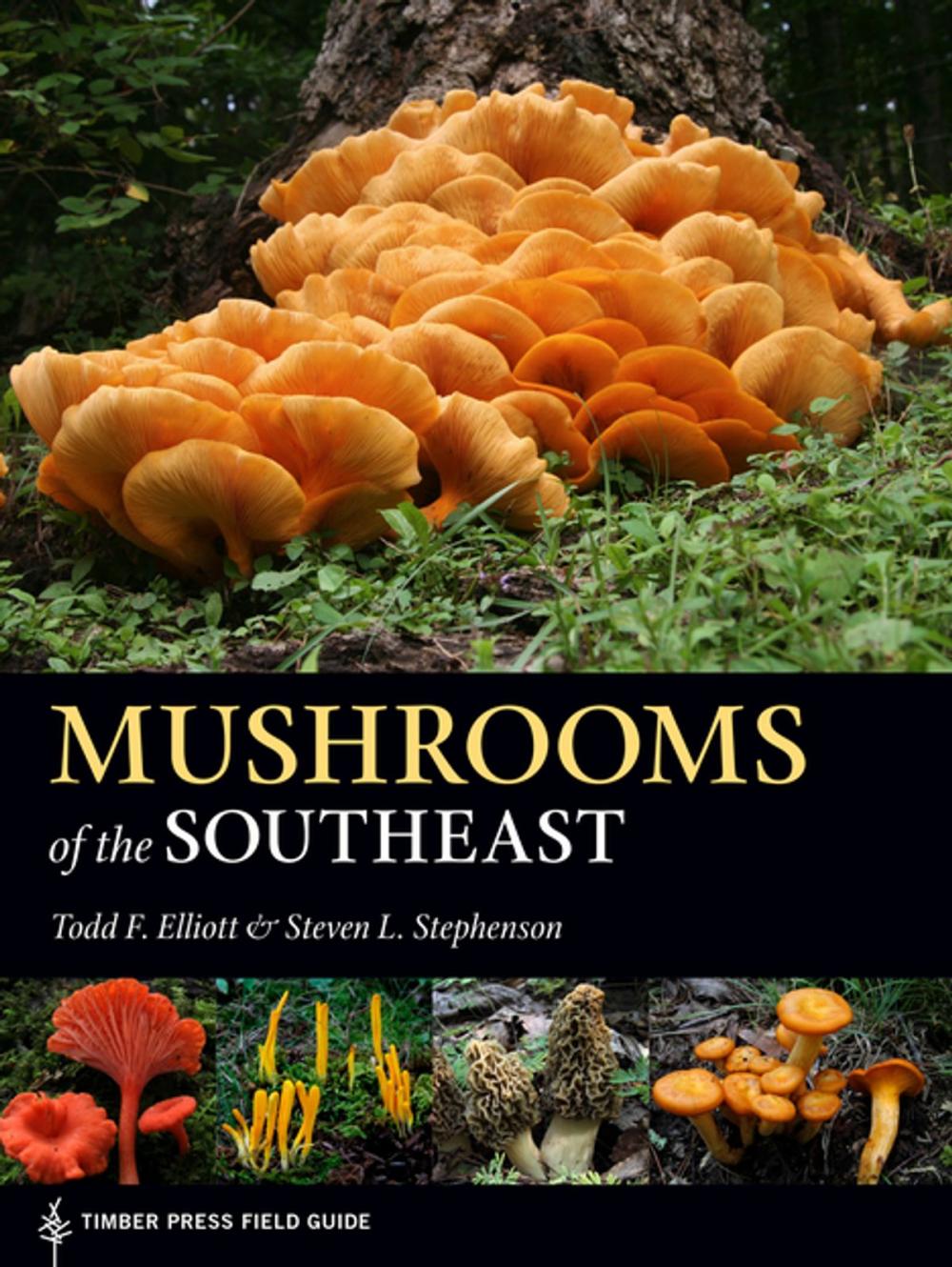 Big bigCover of Mushrooms of the Southeast