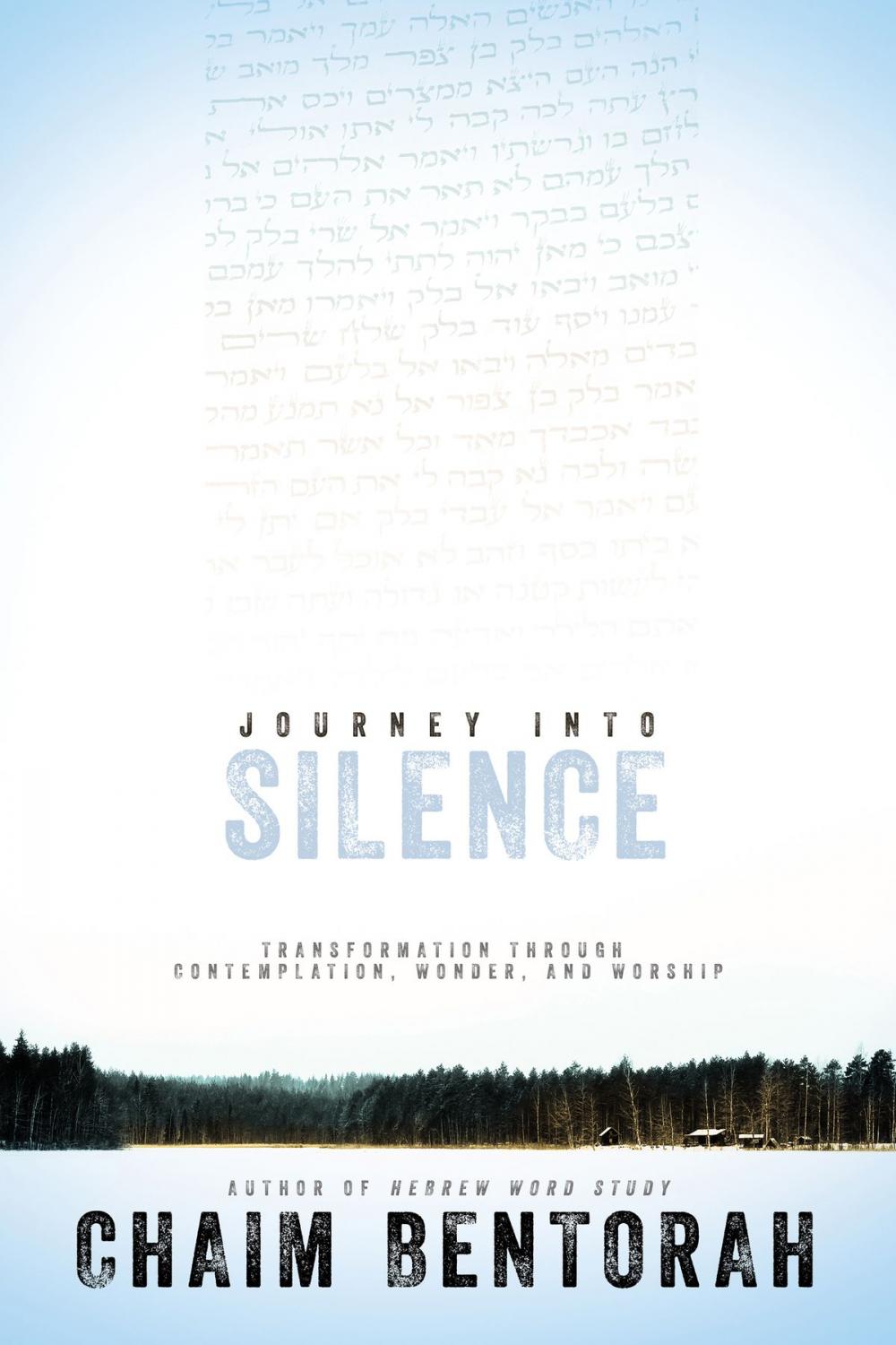 Big bigCover of Journey into Silence
