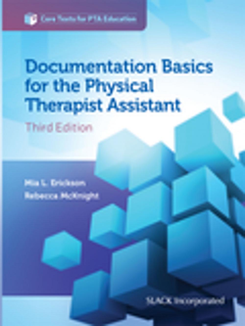 Big bigCover of Documentation Basics for the Physical Therapist Assistant, Third Edition