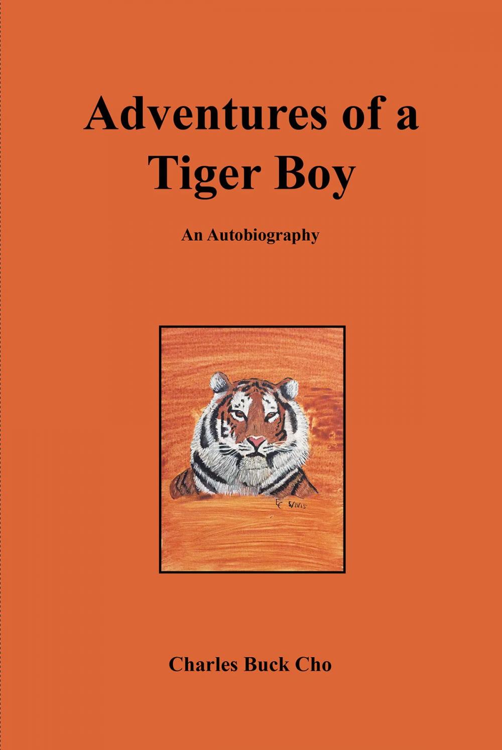 Big bigCover of Adventures of a Tiger Boy