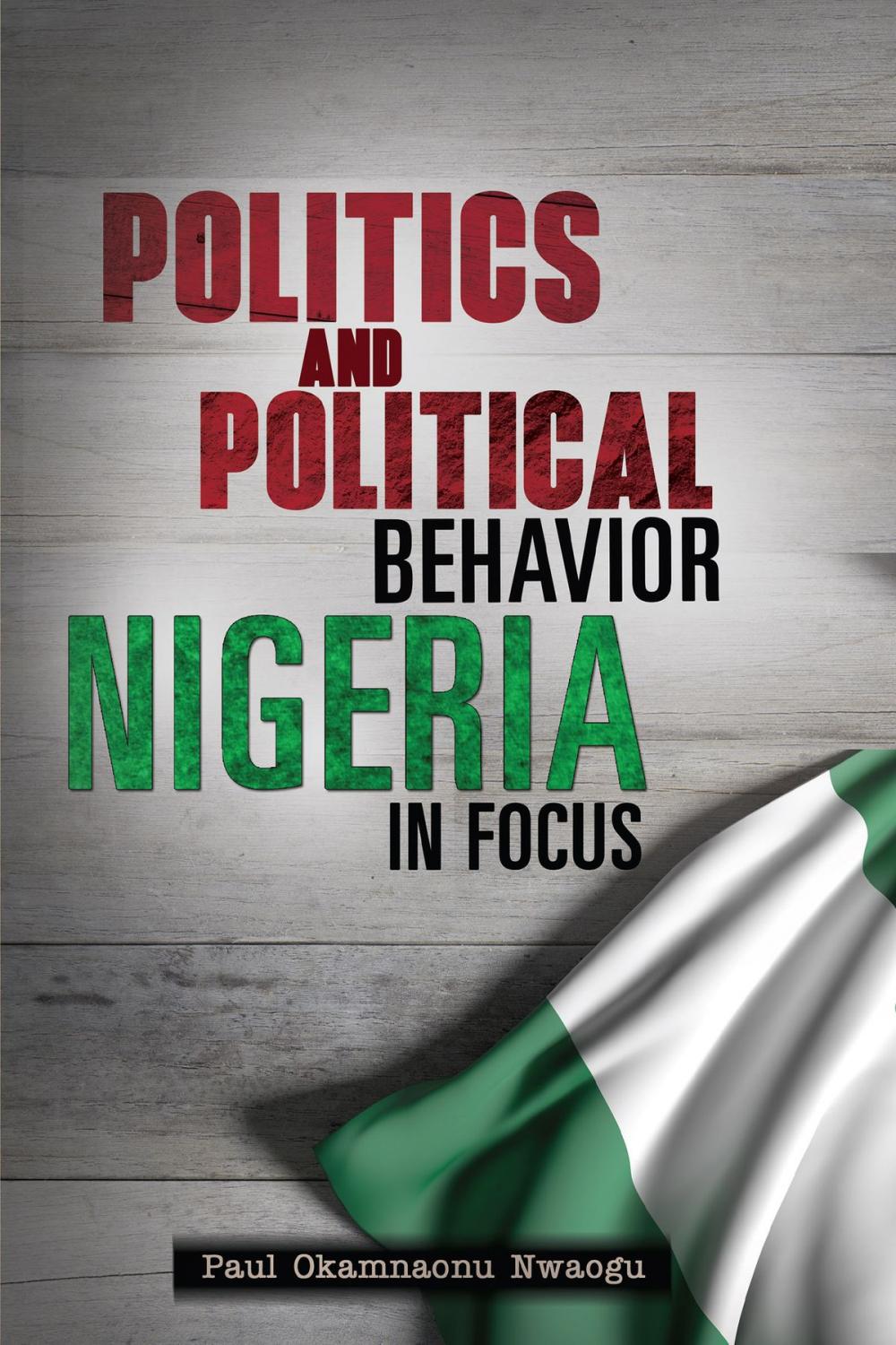 Big bigCover of Politics And Political Behavior Nigeria In Focus