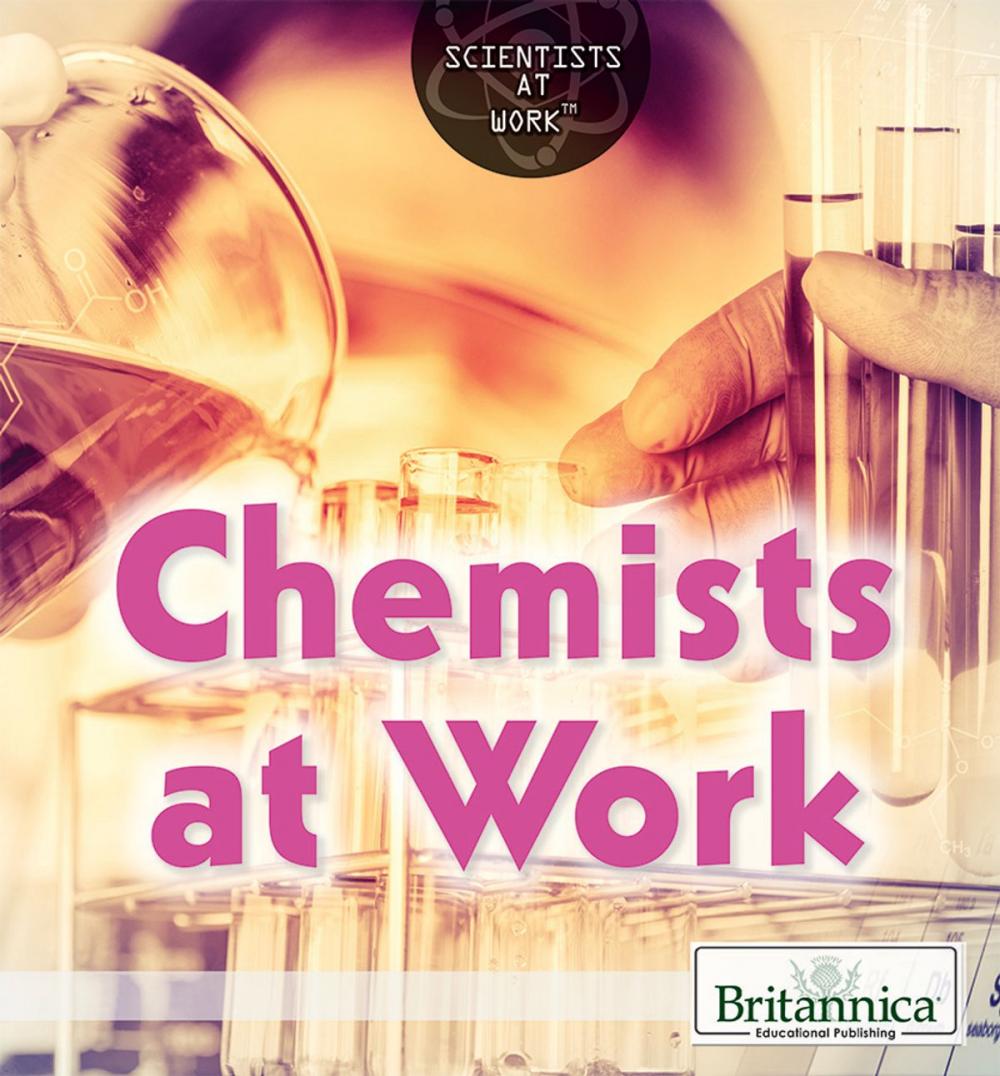 Big bigCover of Chemists at Work