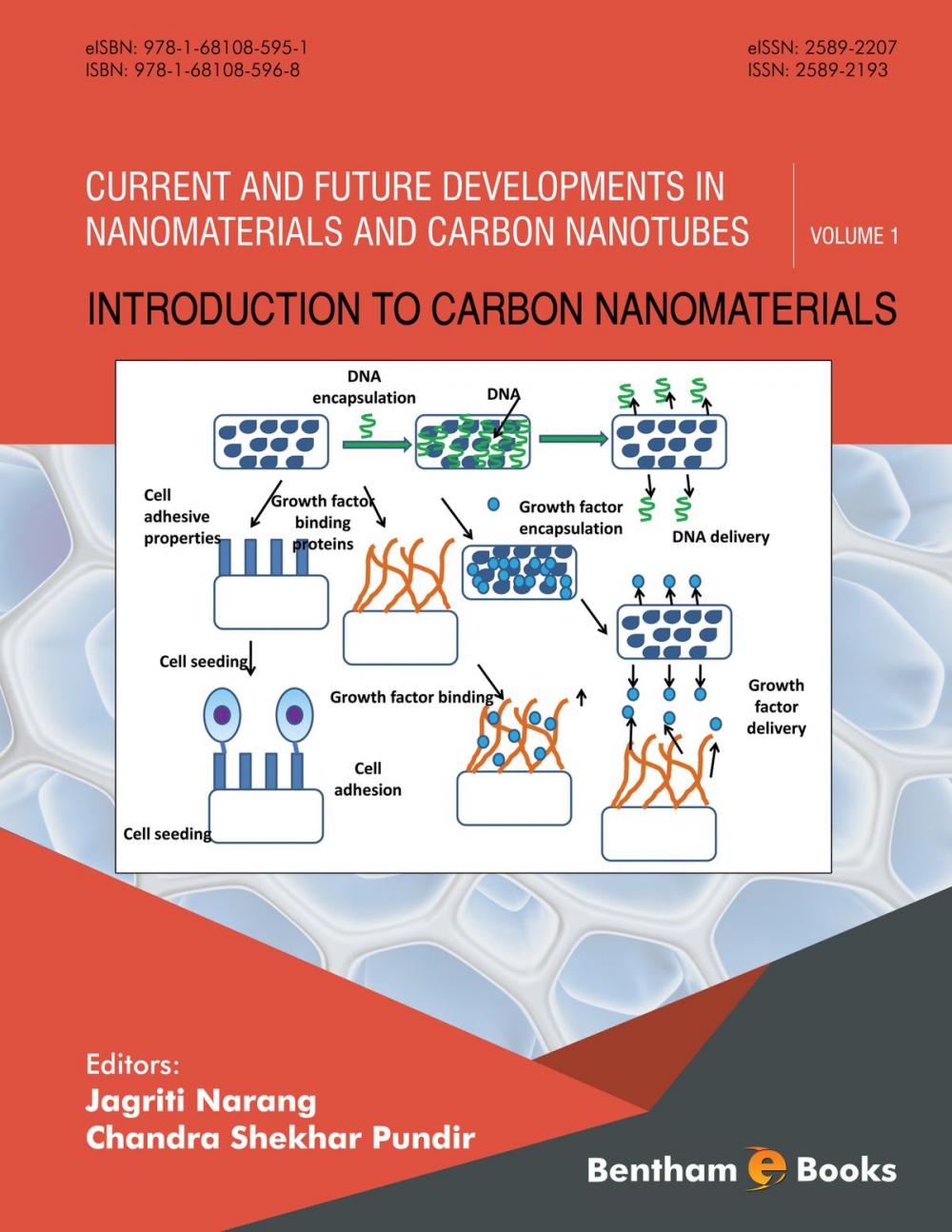 Big bigCover of Introduction to Carbon Nanomaterials