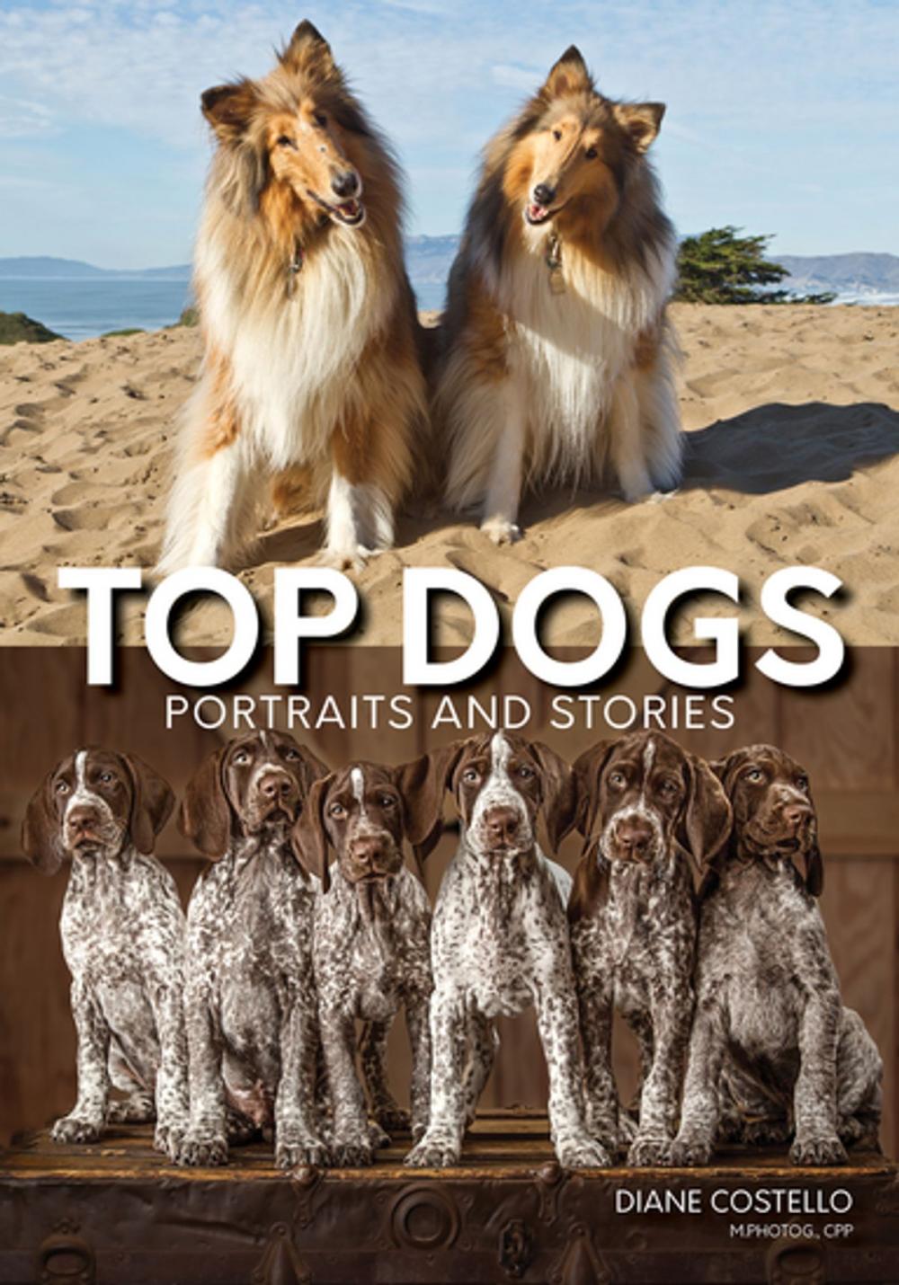 Big bigCover of Top Dogs