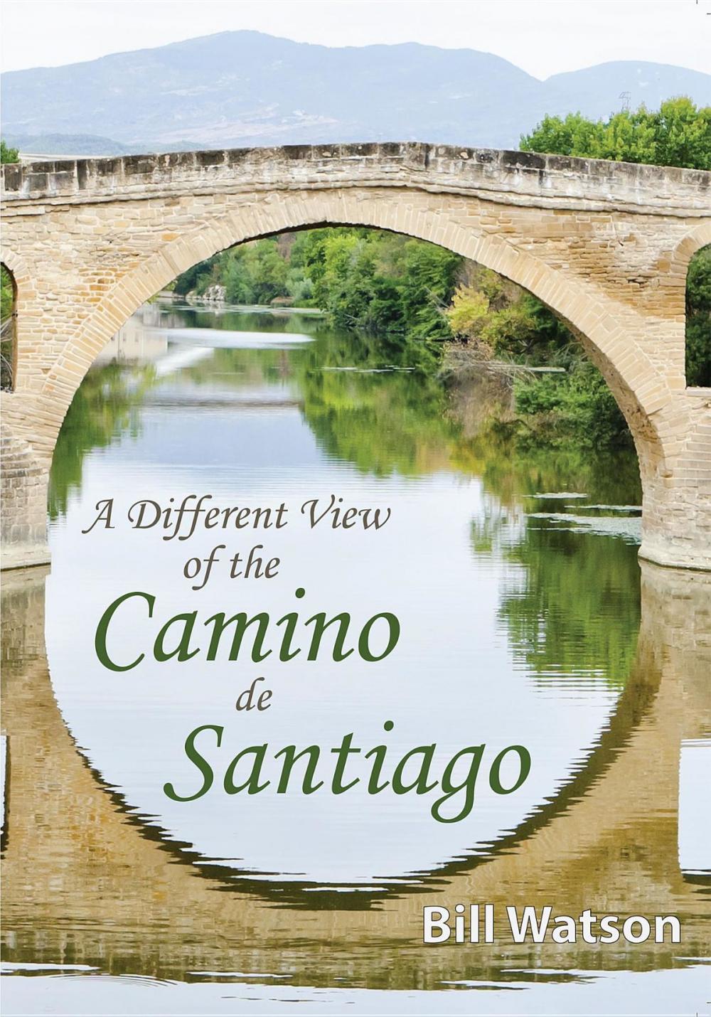 Big bigCover of A Different View of the Camino de Santiago