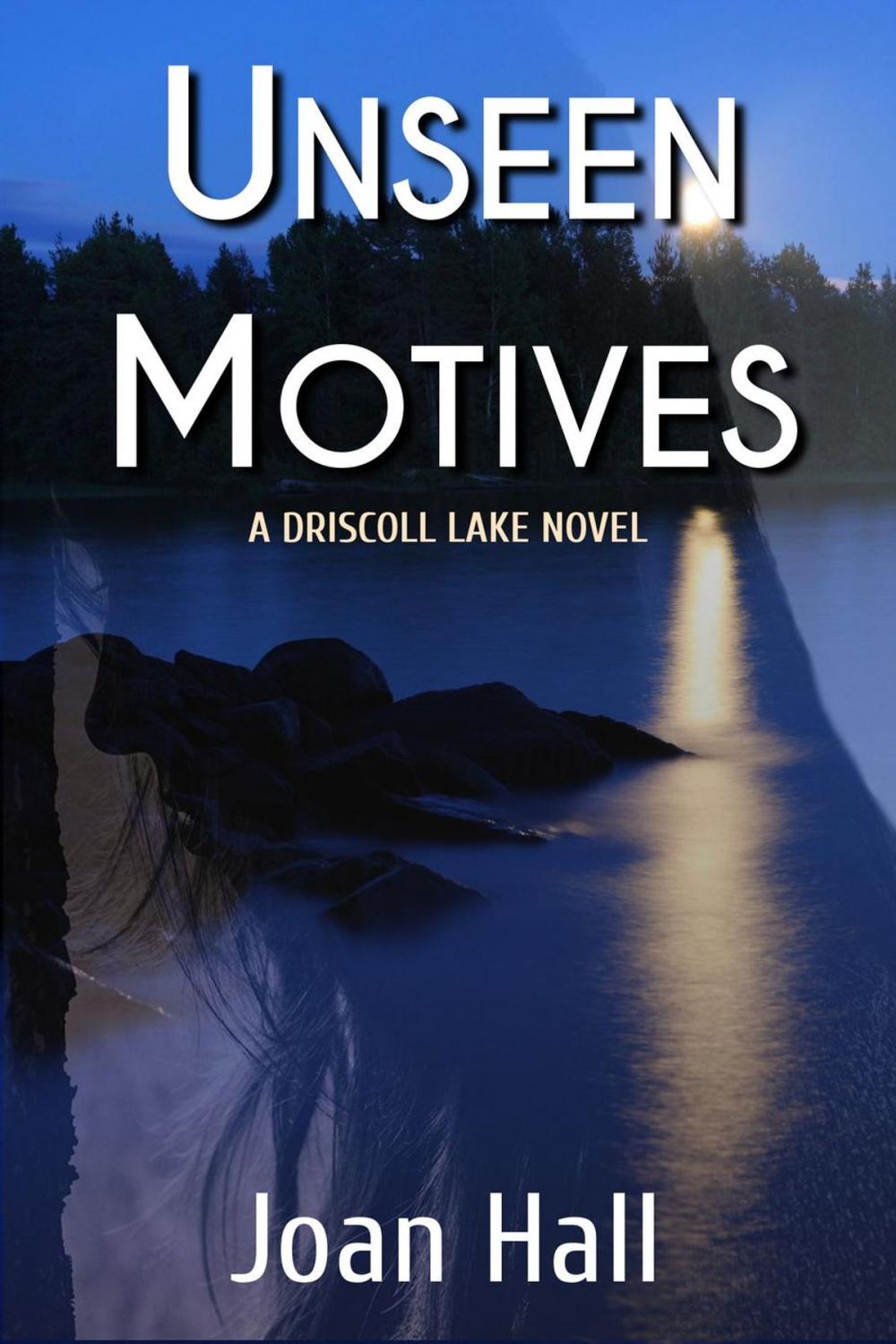 Big bigCover of Unseen Motives