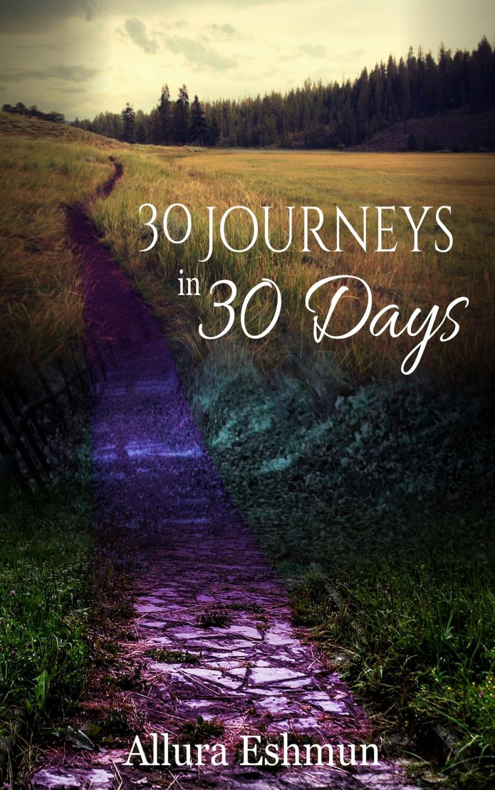 Big bigCover of 30 Journeys in 30 Days