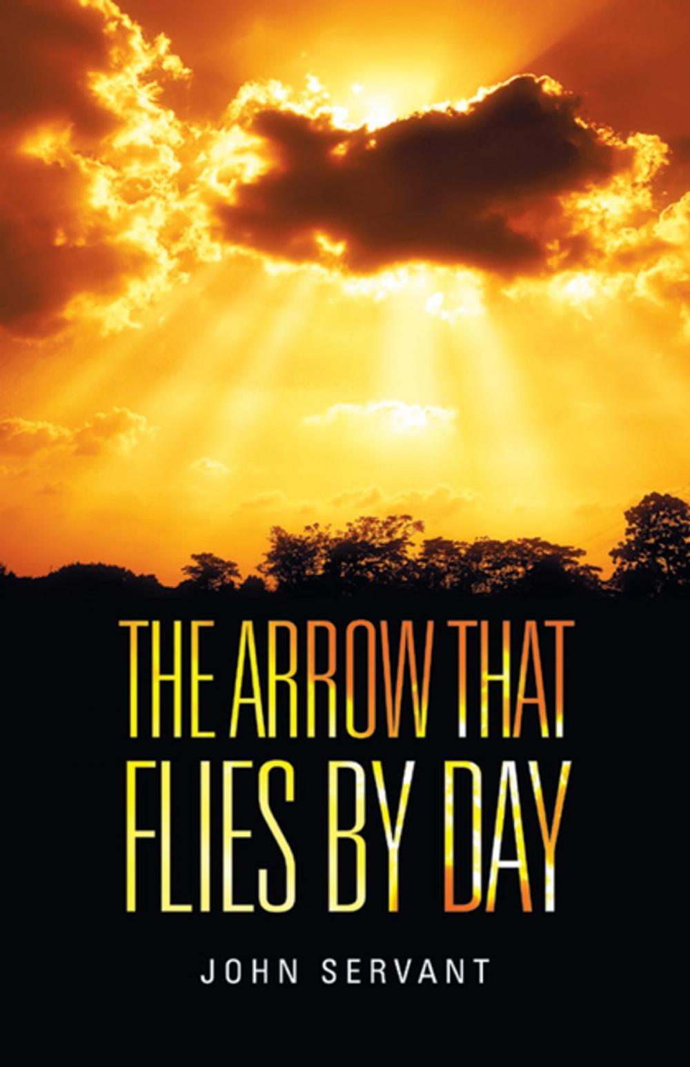 Big bigCover of The Arrow That Flies by Day