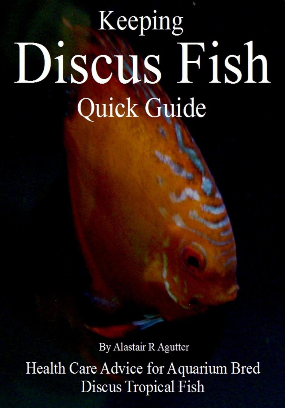 Big bigCover of Keeping Discus Fish Quick Guide