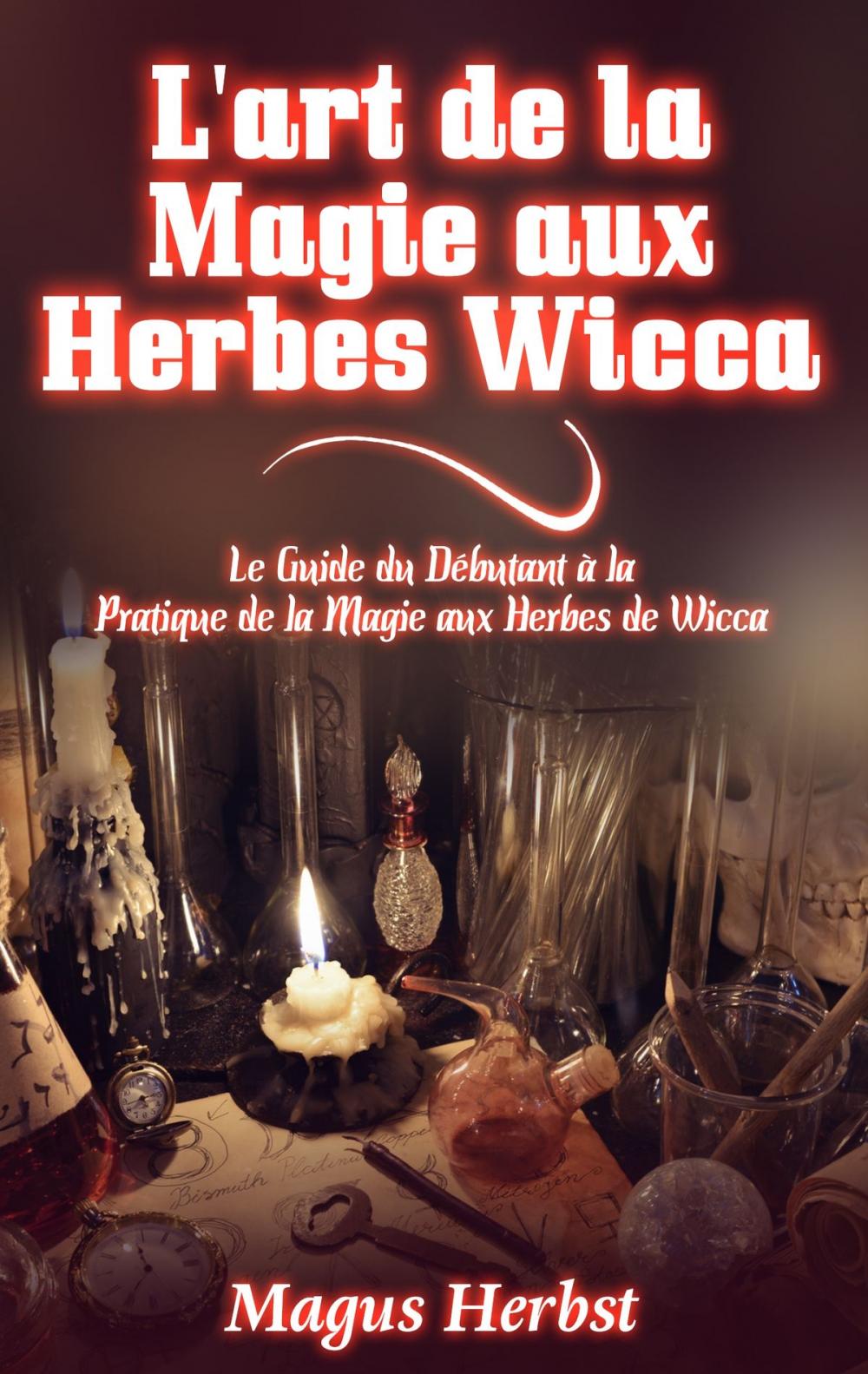 Big bigCover of L'art de la Magie aux Herbes Wicca