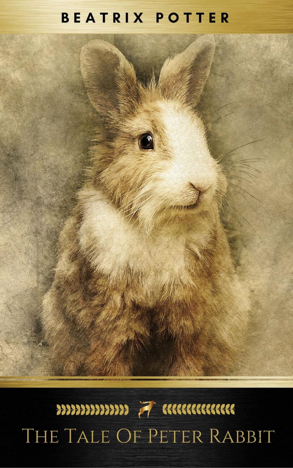 Big bigCover of The Tale Of Peter Rabbit (Beatrix Potter Originals)