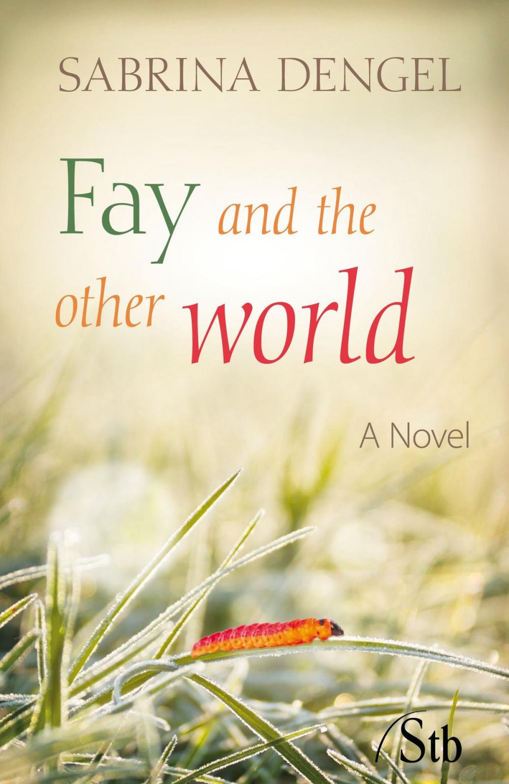 Big bigCover of Fay and the other world