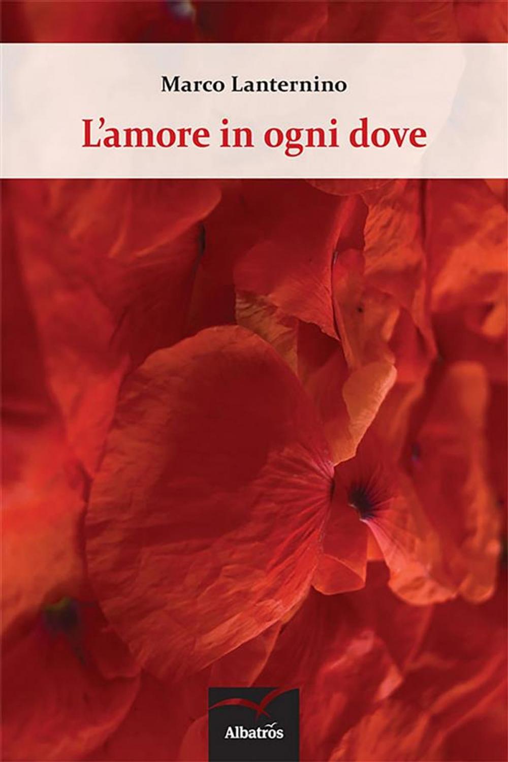 Big bigCover of L'amore in ogni dove