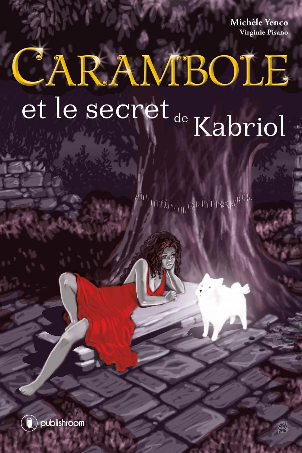 Big bigCover of Carambole et le secret de Kabriol