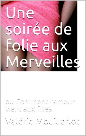 bigCover of the book une soirée de folie aux Merveilles by 