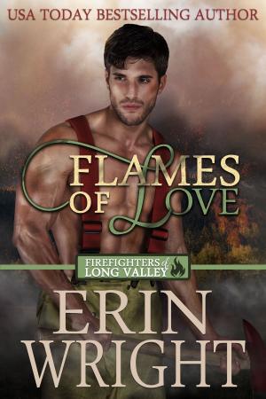 Cover of the book Flames of Love by Erin Wright, Suzie O'Connell, Lisa Mondello, Ann B. Harrison, Shirleen Davies, Jean Brashear, SJ McCoy, Stacey Joy Netzel