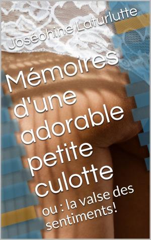 Cover of the book mémoires d'une adorable petite culotte by Athena O'Connor, Nancy Brown