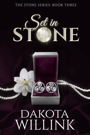 Book cover of Set In Stone