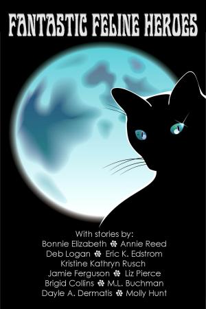 Book cover of Fantastic Feline Heroes