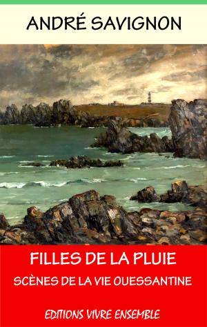 Cover of the book Filles de la pluie by Ibn Arabi, Abdul Hadî