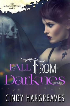 Cover of the book Fall From Darkness Part 1 by K. Writerly
