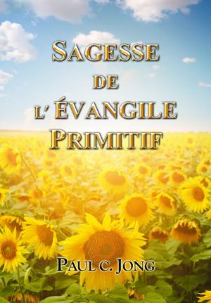 Book cover of SAGESSE DE L'ÉVANGILE PRIMITIF