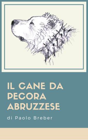 Cover of the book Il Cane da Pecora Abruzzese by Marti Regan