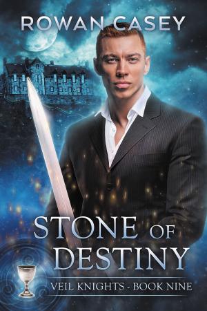 Cover of the book Stone of Destiny by Joseph Nassise, Jon F. Merz