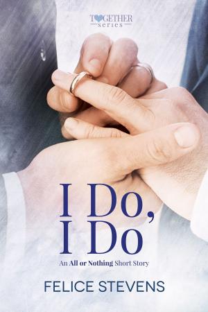 Cover of the book I Do, I Do by Felice Stevens