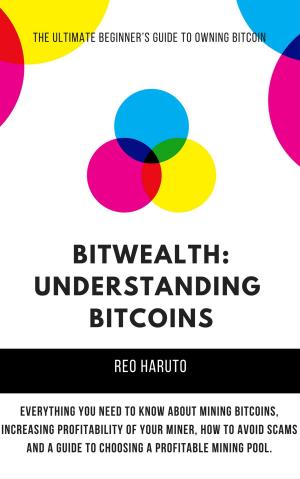 Cover of the book Bitwealth: Understanding Bitcoins by Fel Investments