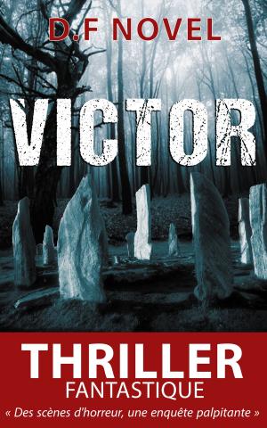 Cover of the book Victor by Ravyn Wilde