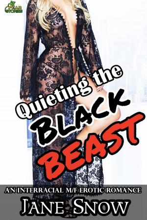 Cover of the book Quieting the Black Beast by Jane Snow