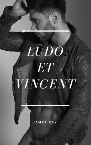 Book cover of Ludo et Vincent
