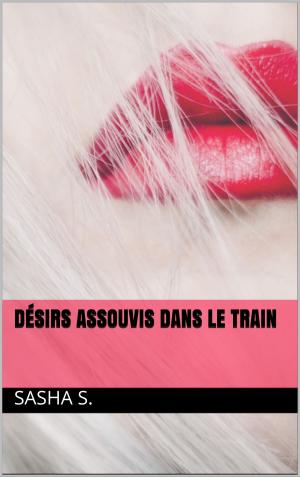 Cover of the book Désirs assouvis dans le train by Sasha S.
