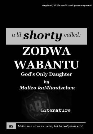 Cover of the book ZODWA WABANTU by Wilde Blue Sky