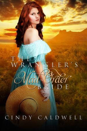 Book cover of The Wrangler's Mail Order Bride