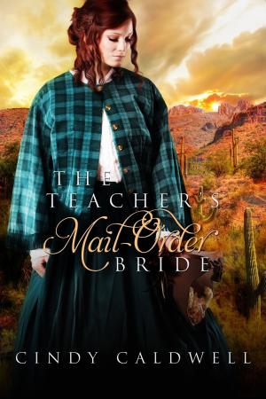 Book cover of The Teacher's Mail Order Bride