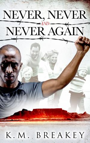 Cover of the book Never, Never and Never Again by Charlene Newberg