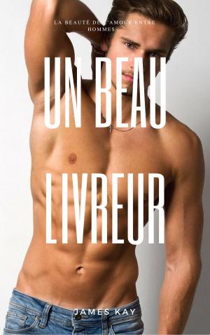 Book cover of Un beau livreur