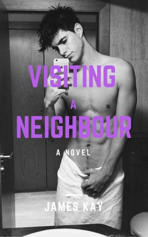 Cover of the book Visiting a Neighbour by James KAY