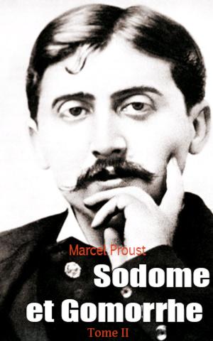 Book cover of Sodome et Gomorrhe