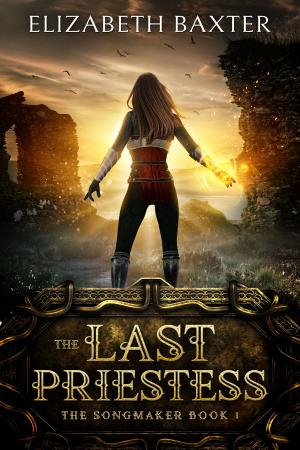 Cover of the book The Last Priestess by Jennifer St. Giles