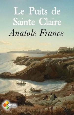 Cover of the book Le Puits de Sainte Claire by Mark Twain