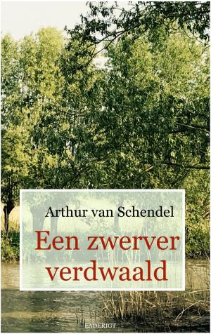 Cover of the book Een zwerver verdwaald by Thierry Bontoux