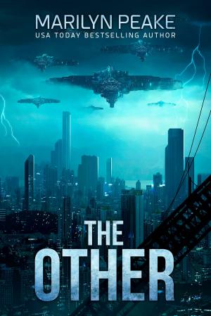 Cover of the book The Other by Marilyn Peake