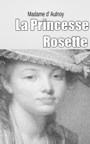 Book cover of La Princesse Rosette