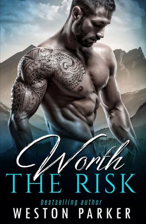 Cover of the book Worth the Risk by Cindy May