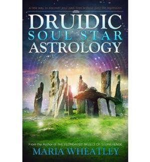 Cover of the book Druidic Soul Star Astrology by Sherry Wilde