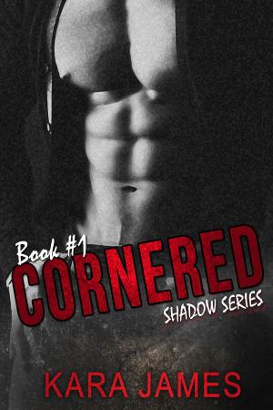 bigCover of the book Cornered by 