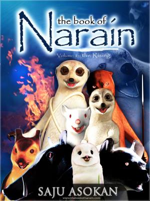 Cover of the book The book of Narain - the Rising by Paul Vayro